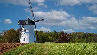 Country Heritage and Mill Days
