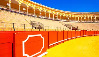 ARENE 