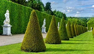 jardin