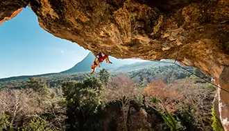 climbing 