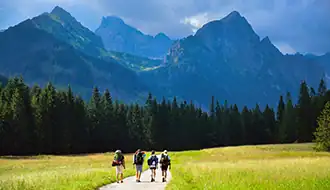 Walk