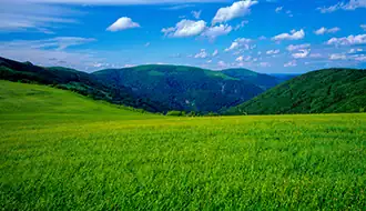 nature 
