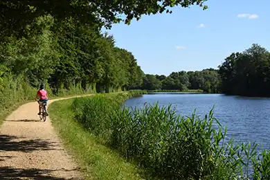 Activité sportive à Argelès-sur-mer