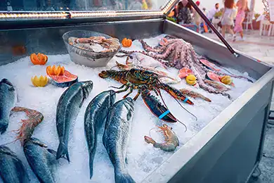 Découvrez tous les loisirs et commerces à Martigues ou à proximité
