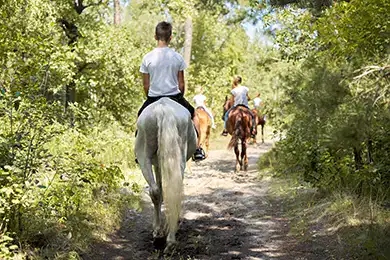 Discover all the sporting activities on offer in Mouriès