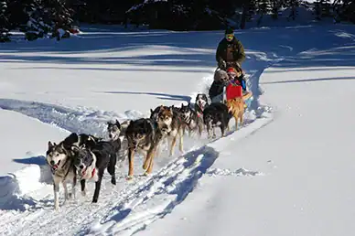 Découvrez tous les loisirs et commerces proposés à Albiez-Montrond