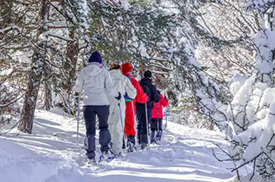 Découvrez toutes les activités sportives proposées à Morillon