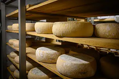 Partez à la découverte du patrimoine et de la culture à Saint-François-Longchamp